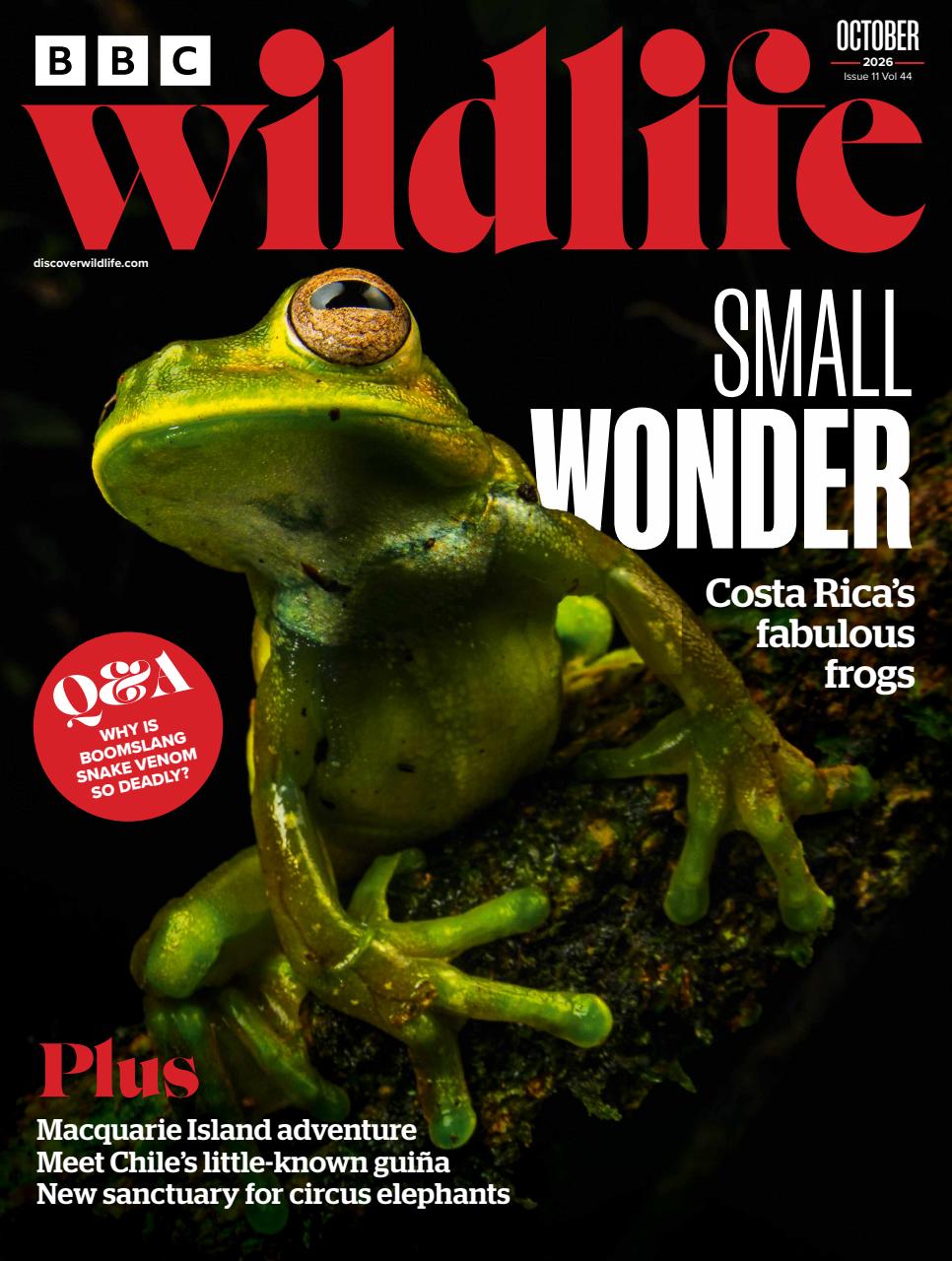 BBC Wildlife Magazine Preview Pages
