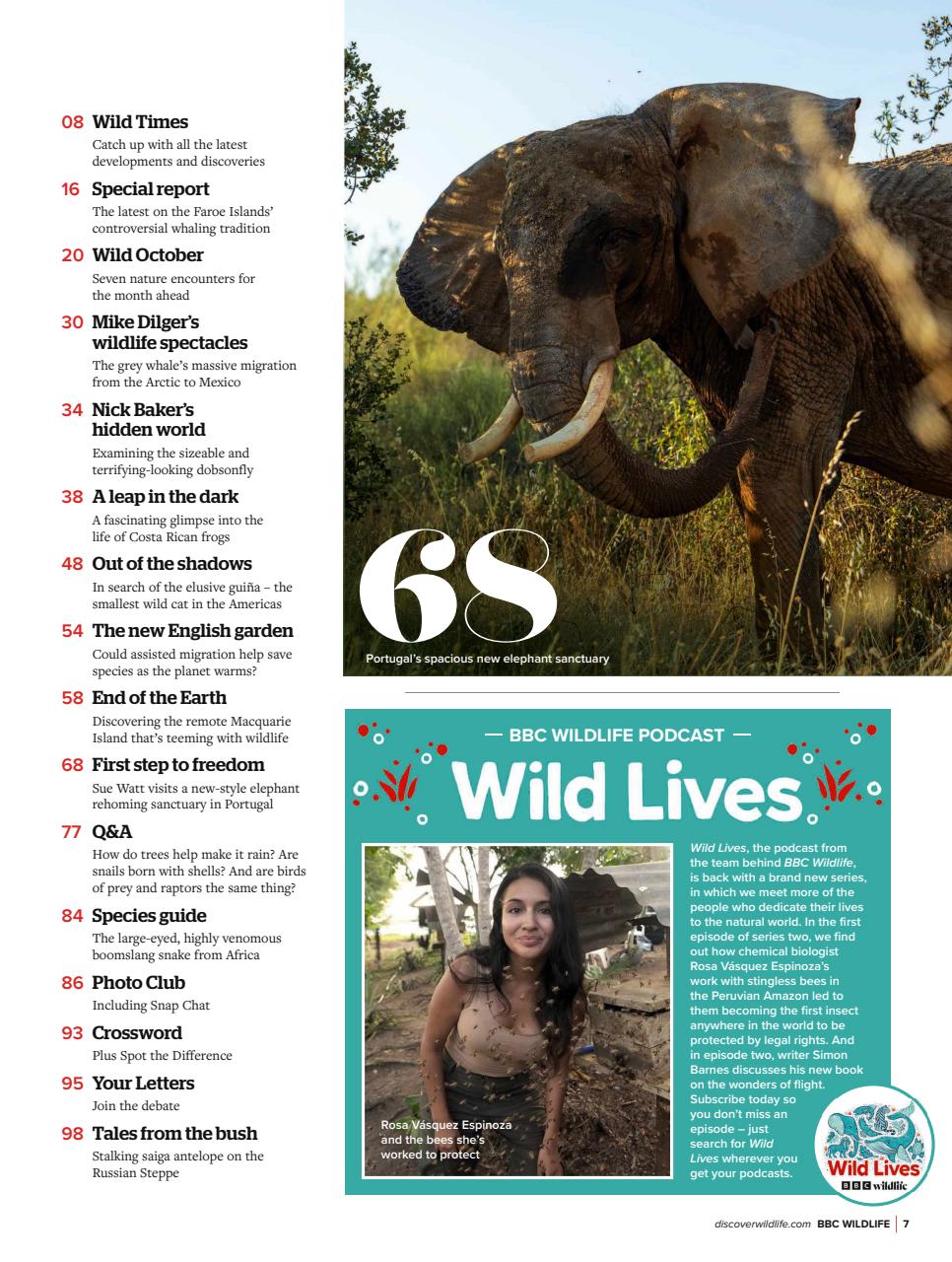 BBC Wildlife Magazine Preview Pages