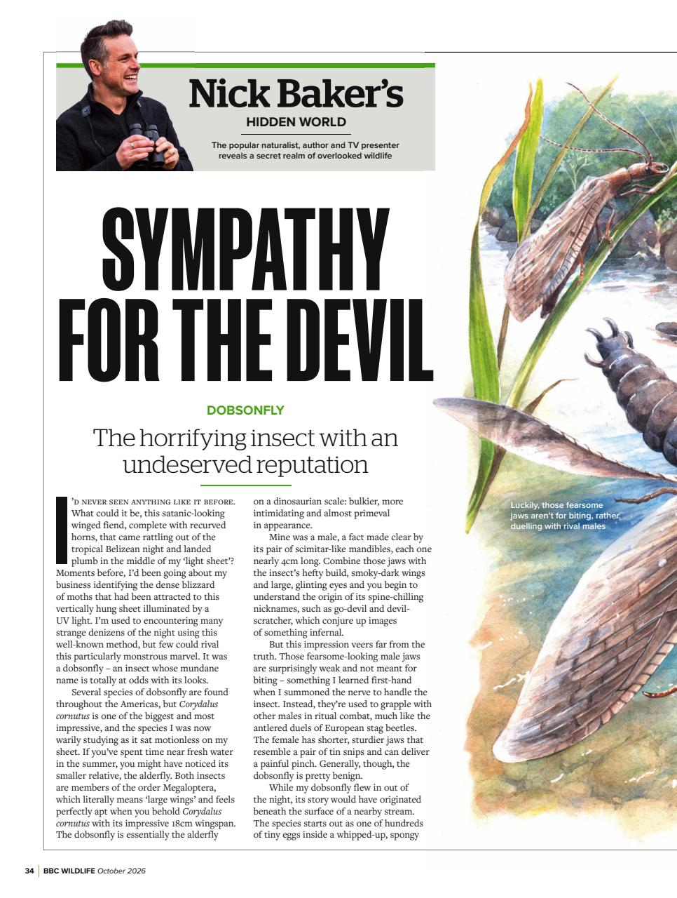 BBC Wildlife Magazine Preview Pages