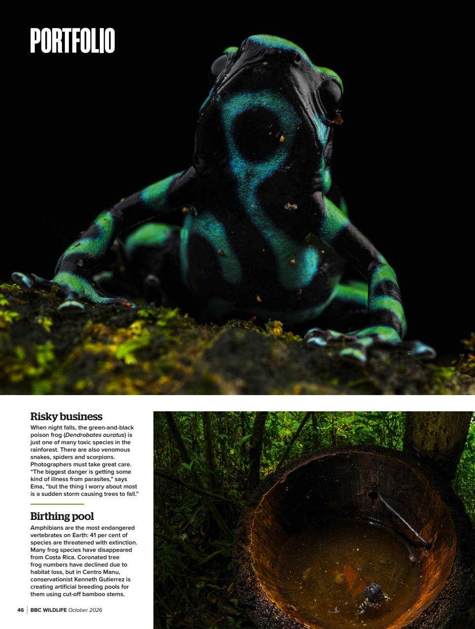 BBC Wildlife Magazine Preview Pages