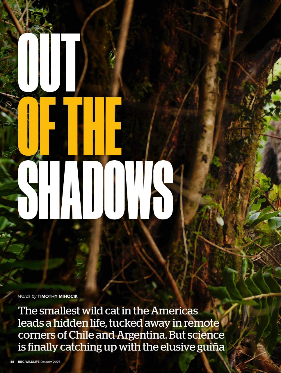 BBC Wildlife Magazine Preview Pages