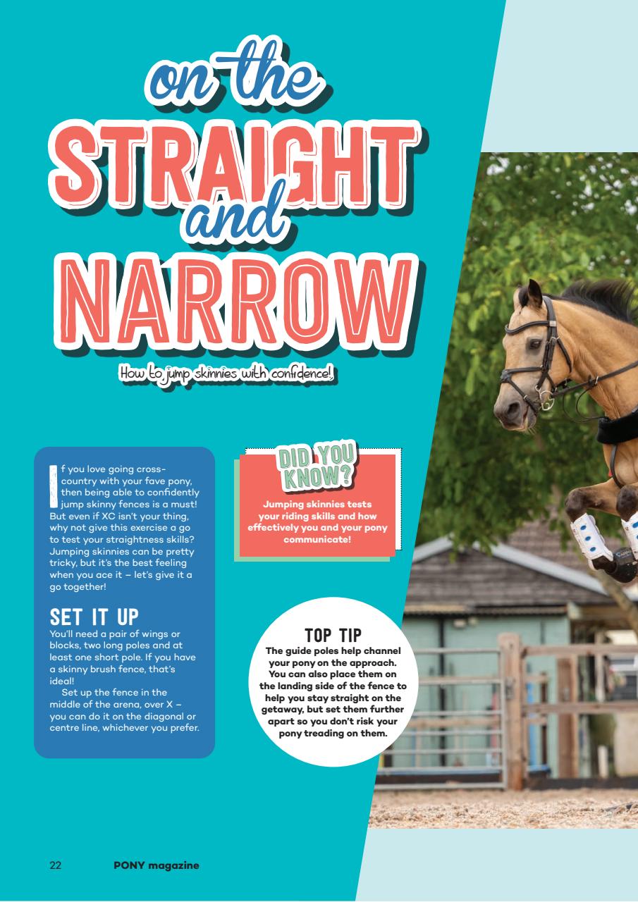 Pony Magazine Preview Pages