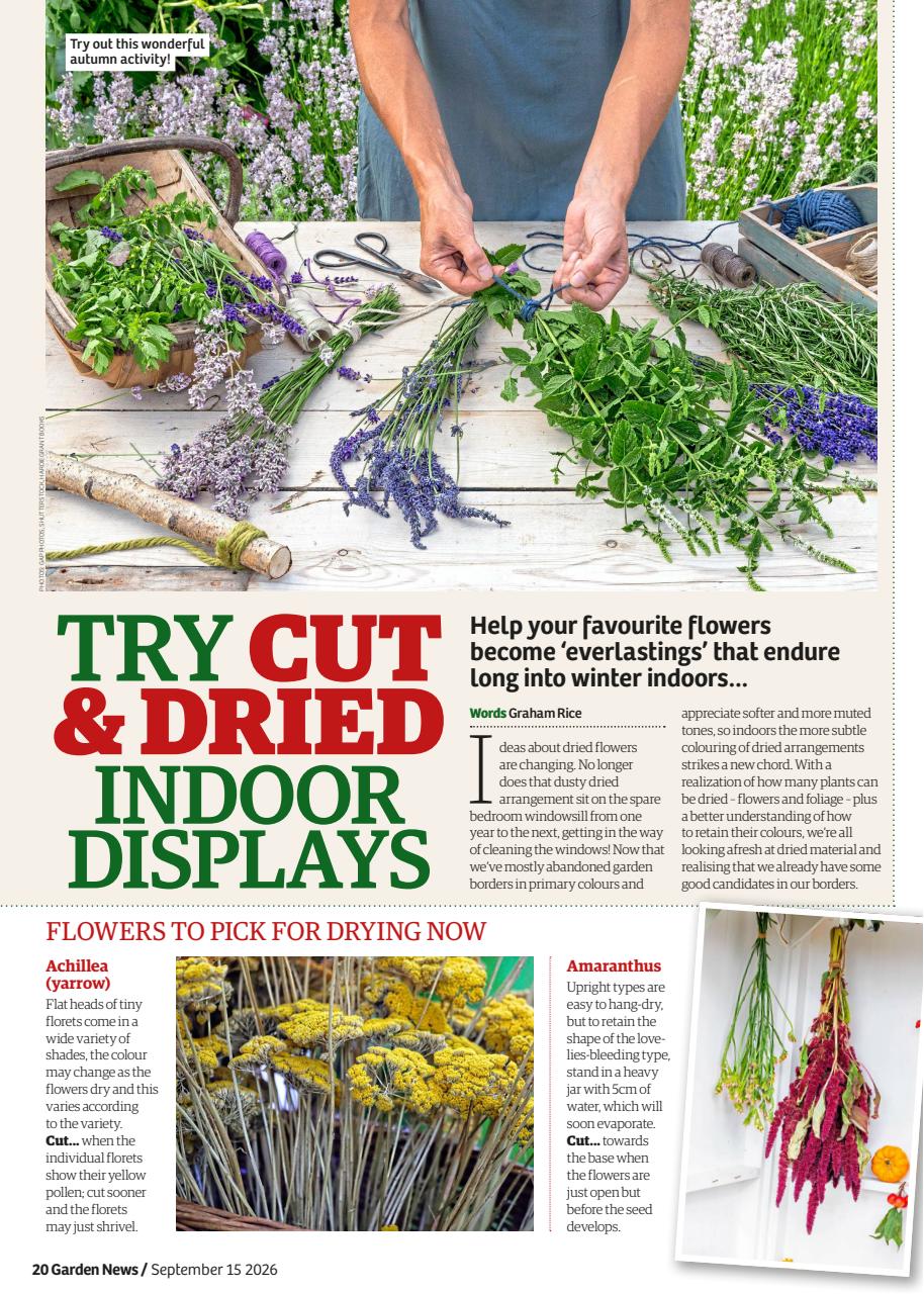 Garden News Preview Pages