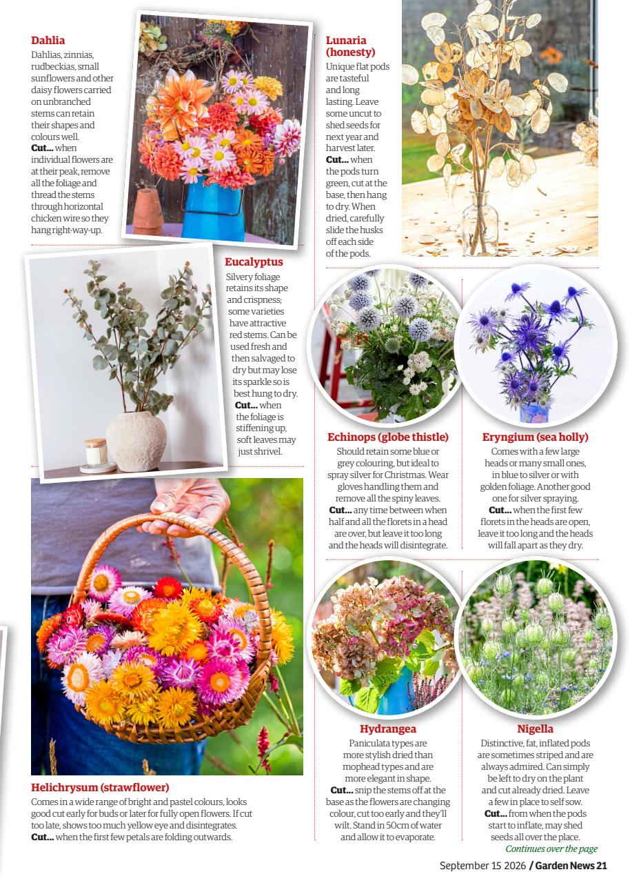 Garden News Preview Pages