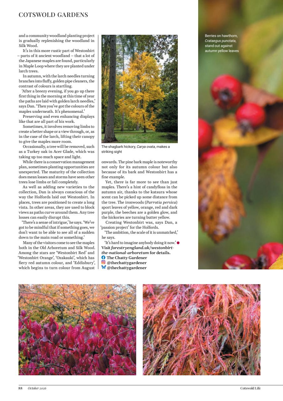 Cotswold Life Preview Pages