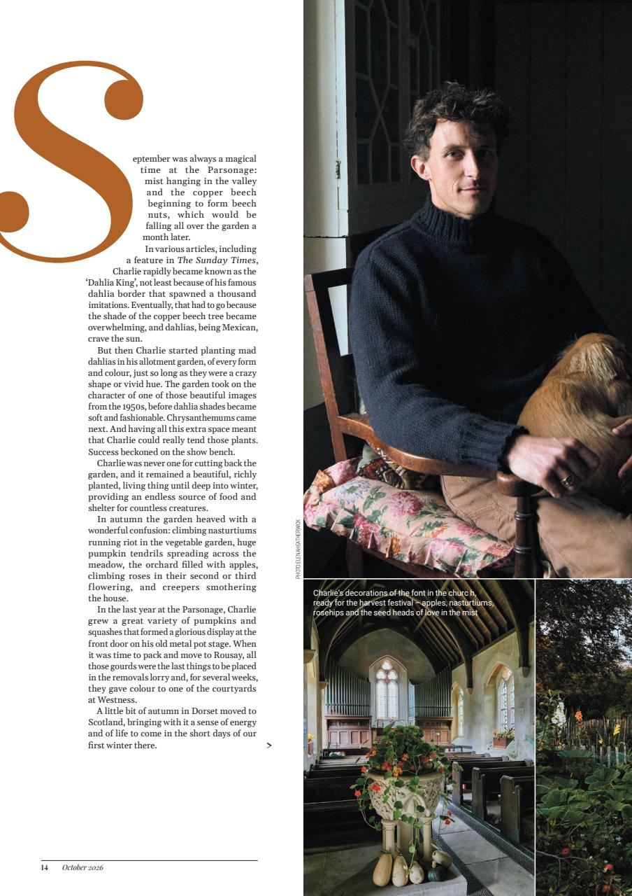 Dorset Magazine Preview Pages