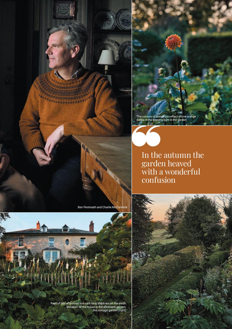 Dorset Magazine Preview Pages