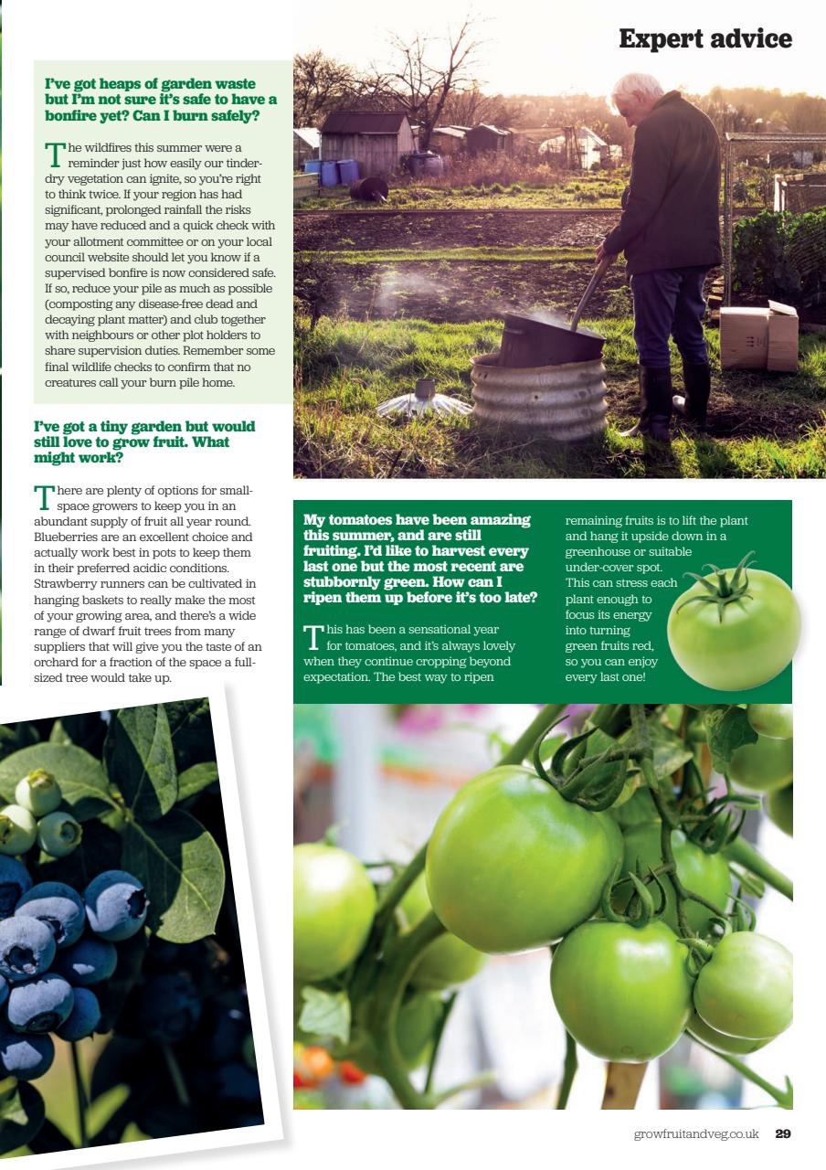 Grow Your Own Preview Pages