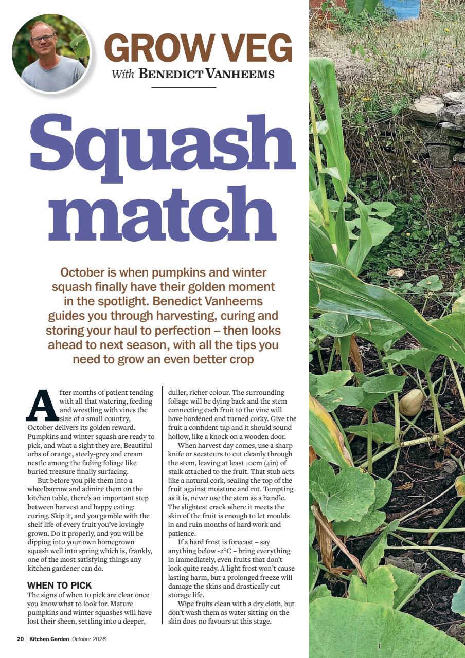 Kitchen Garden Magazine Preview Pages