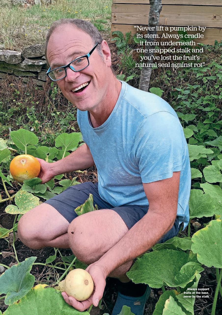 Kitchen Garden Magazine Preview Pages