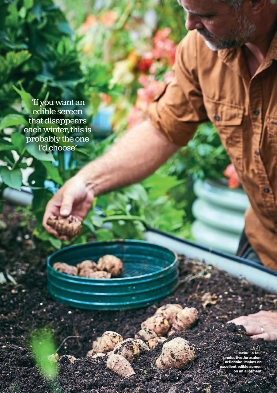 Kitchen Garden Magazine Preview Pages
