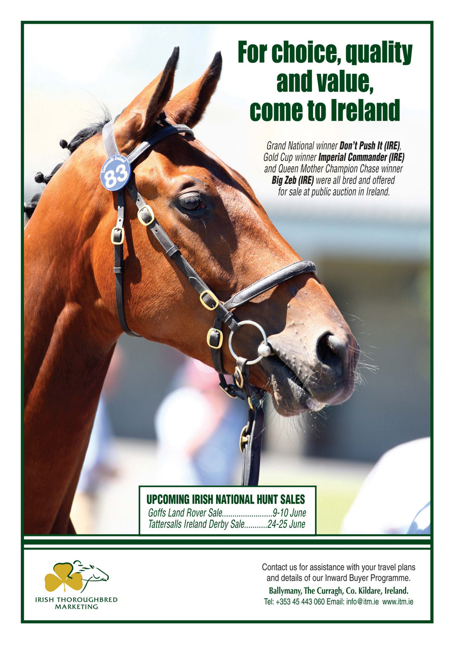 European Trainer Magazine - horse racing Preview Pages