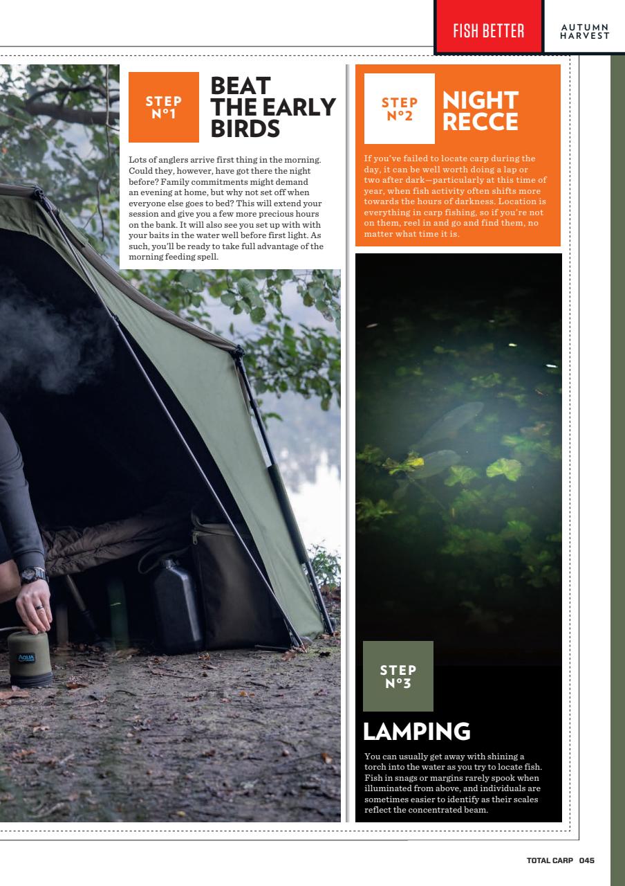 Total Carp Preview Pages