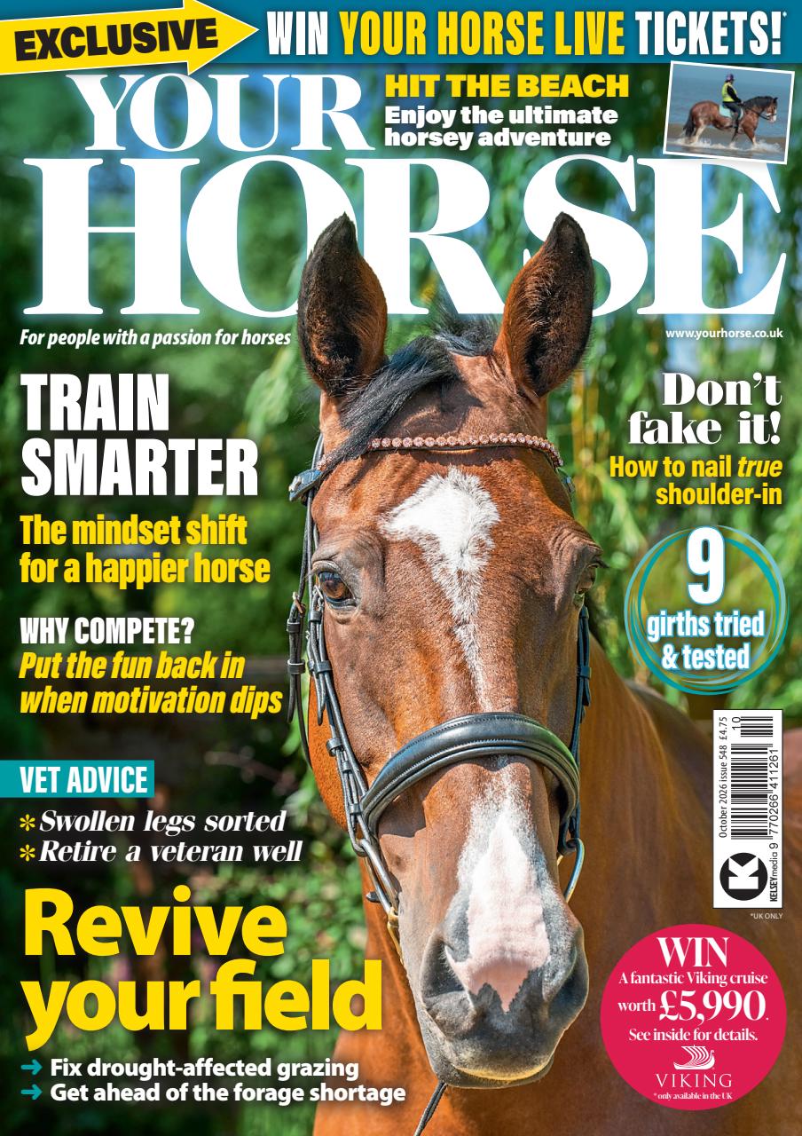Your Horse Preview Pages