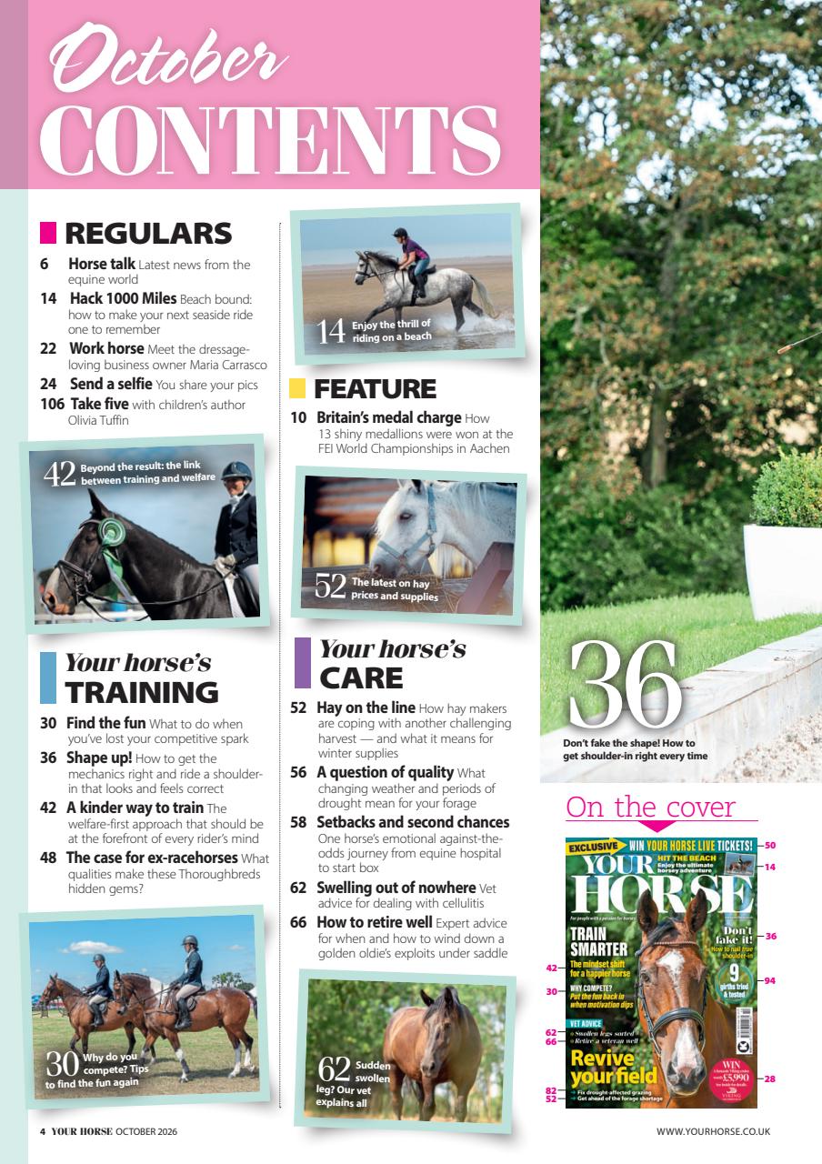 Your Horse Preview Pages