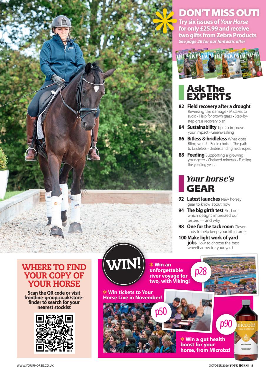 Your Horse Preview Pages