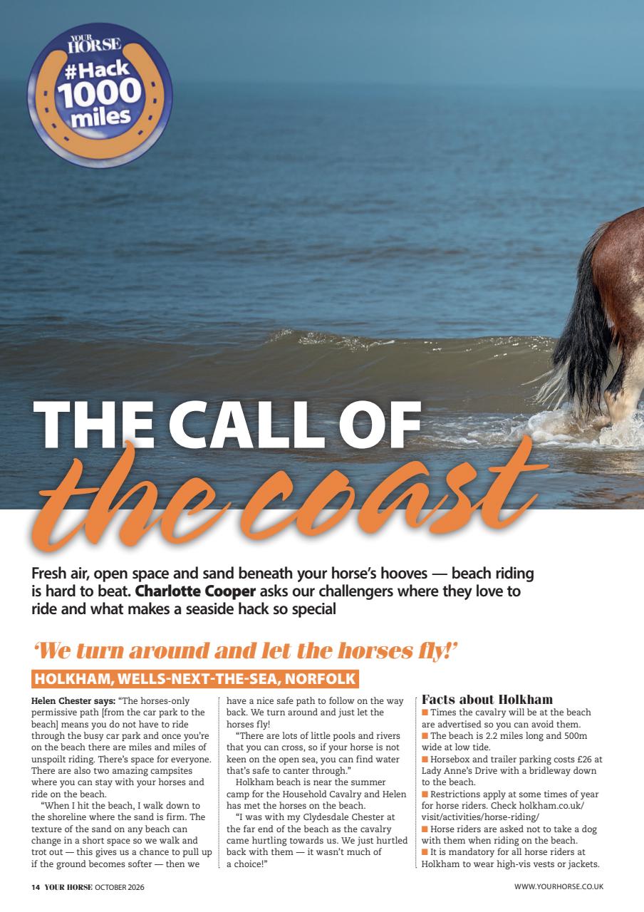 Your Horse Preview Pages