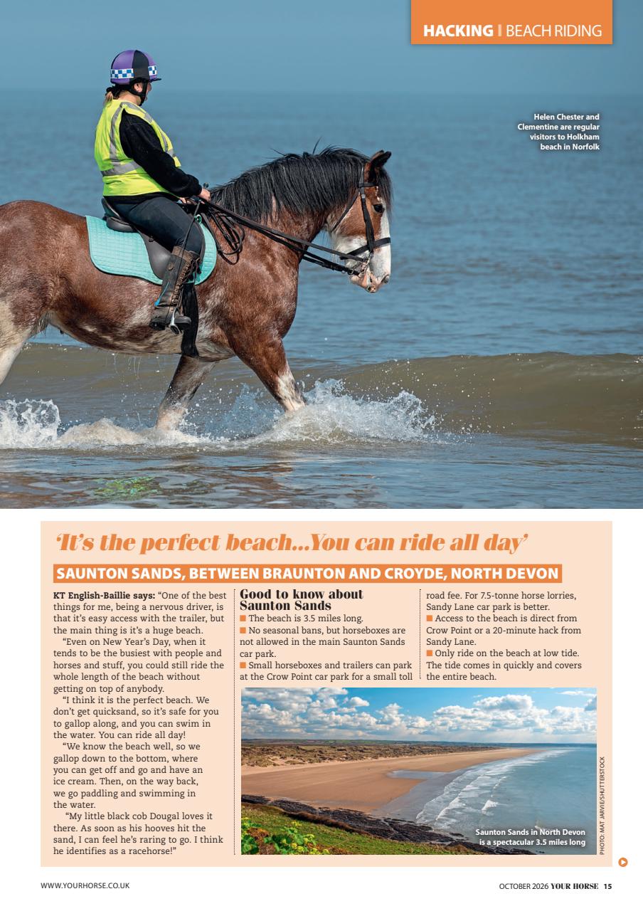 Your Horse Preview Pages
