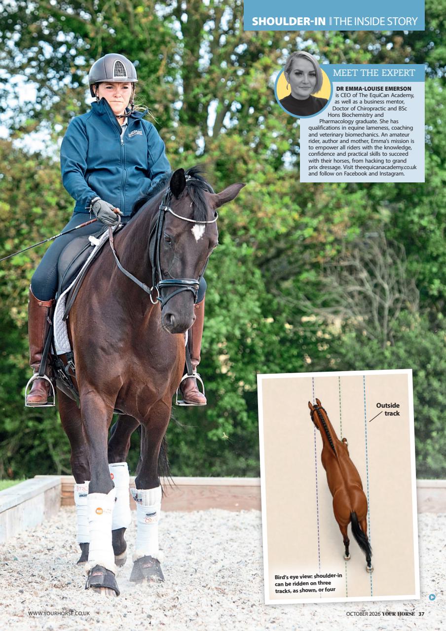 Your Horse Preview Pages