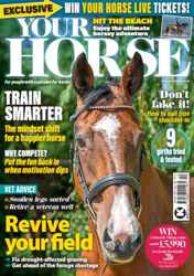 Your Horse Complete Your Collection Cover 1