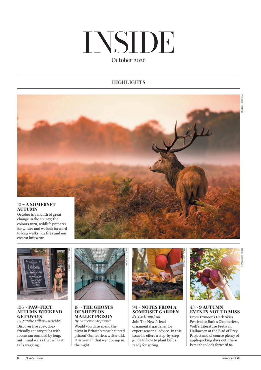 Somerset Life Preview Pages