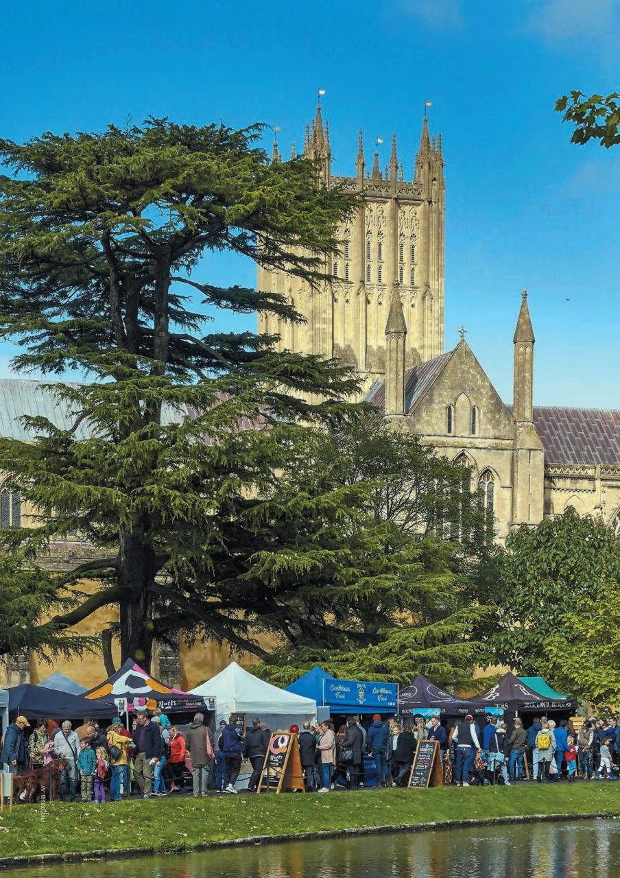 Somerset Life Preview Pages
