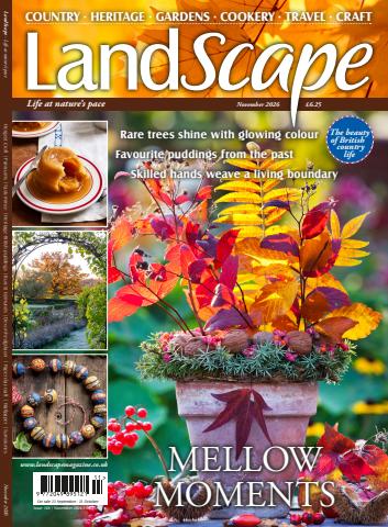 LandScape issue Nov-26