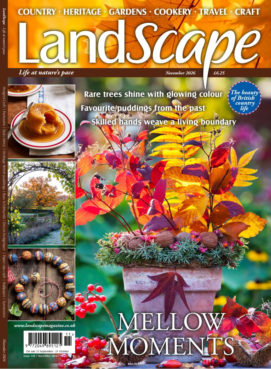 LandScape Preview Pages