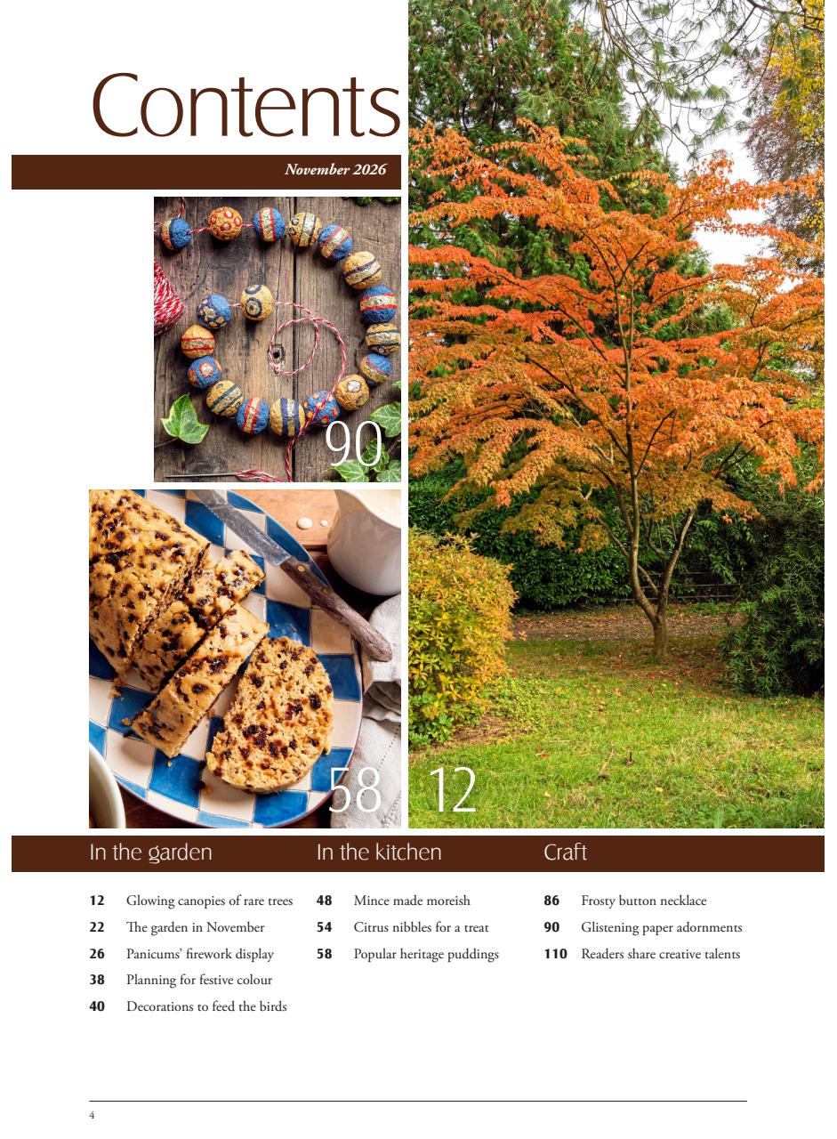 LandScape Preview Pages