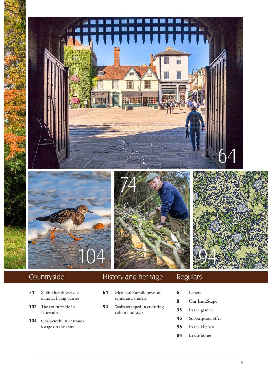 LandScape Preview Pages