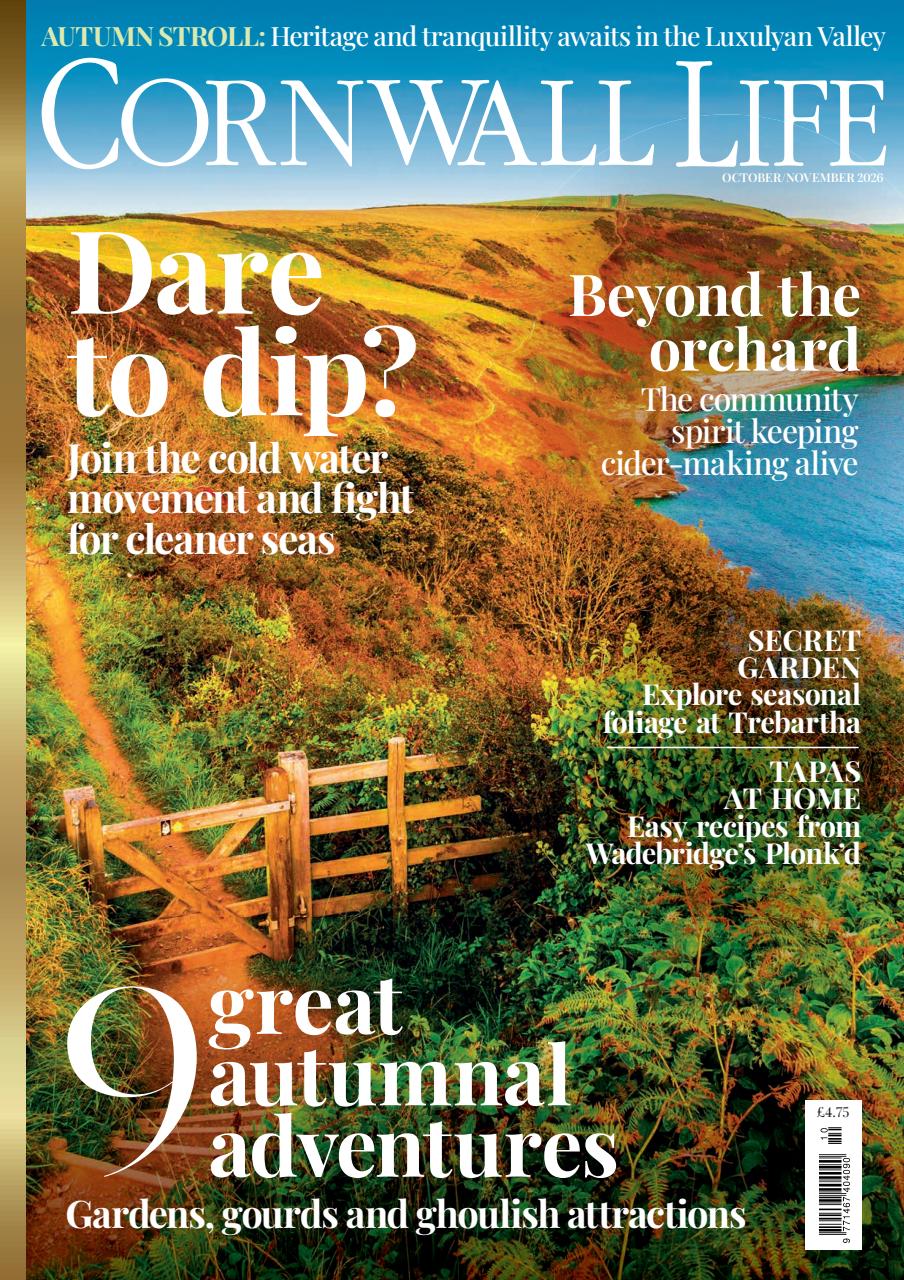 Cornwall Life Preview Pages