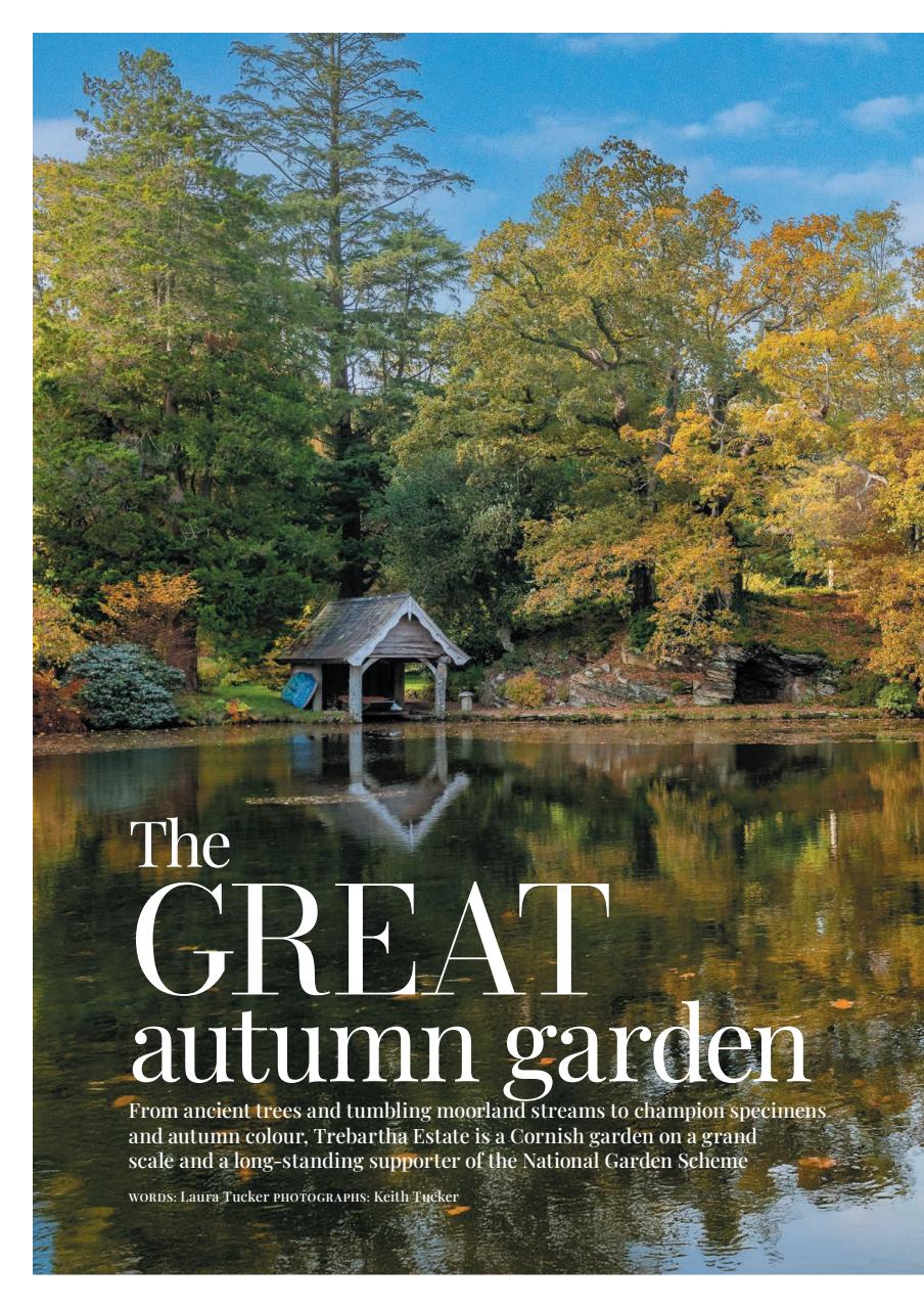 Cornwall Life Preview Pages