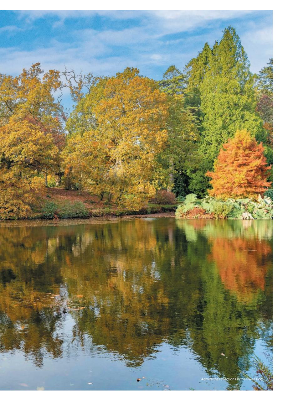 Cornwall Life Preview Pages