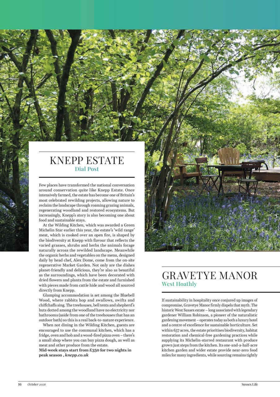 Sussex Life Preview Pages