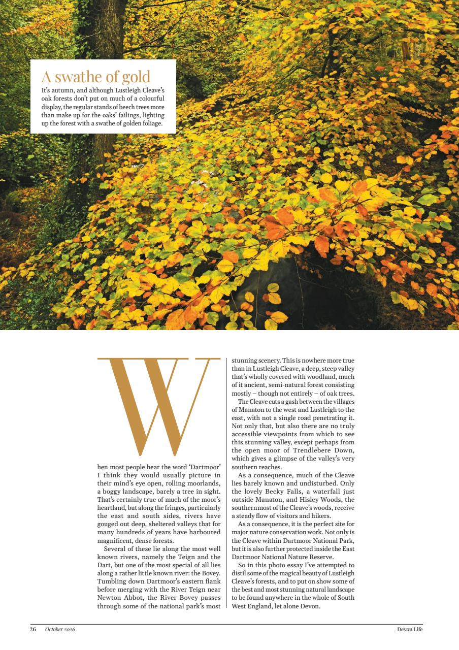 Devon Life Preview Pages