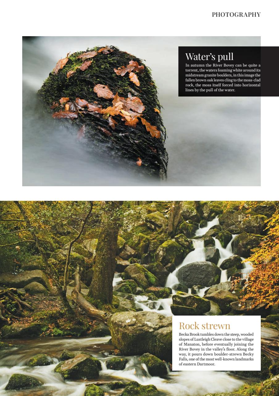 Devon Life Preview Pages