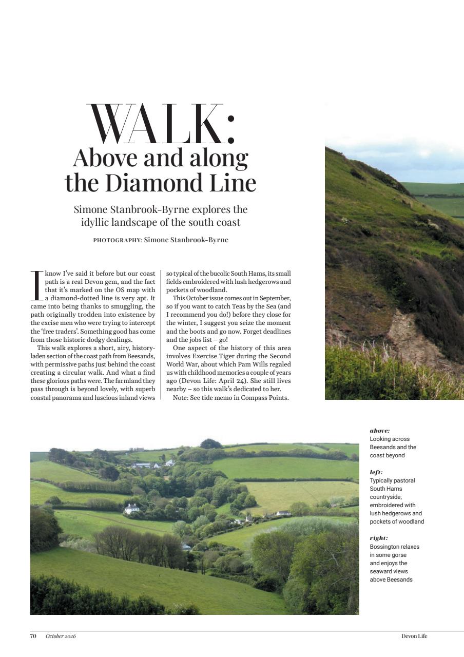 Devon Life Preview Pages