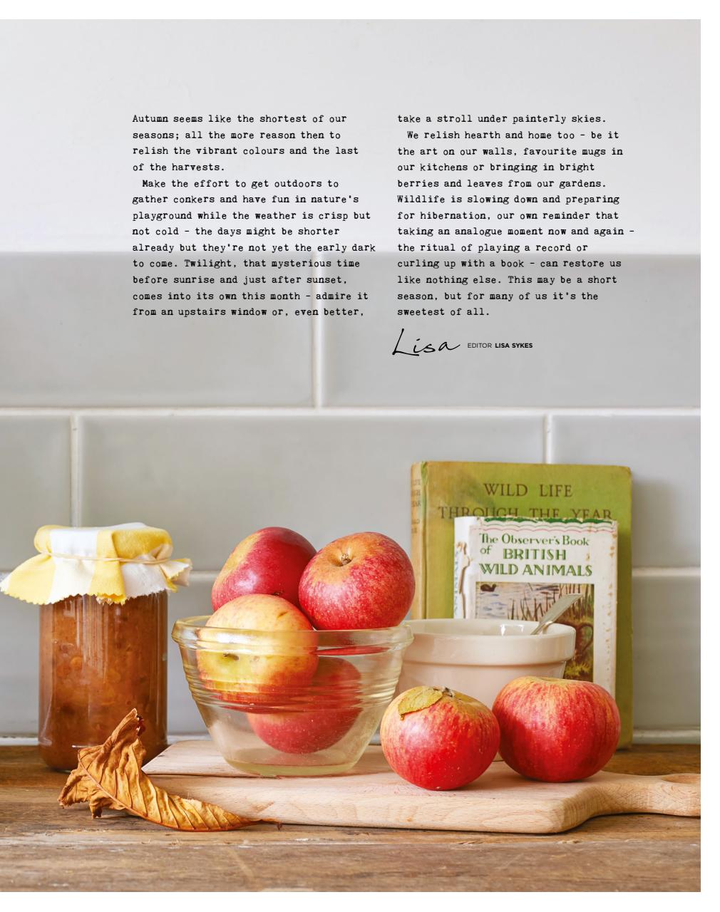 The Simple Things Preview Pages