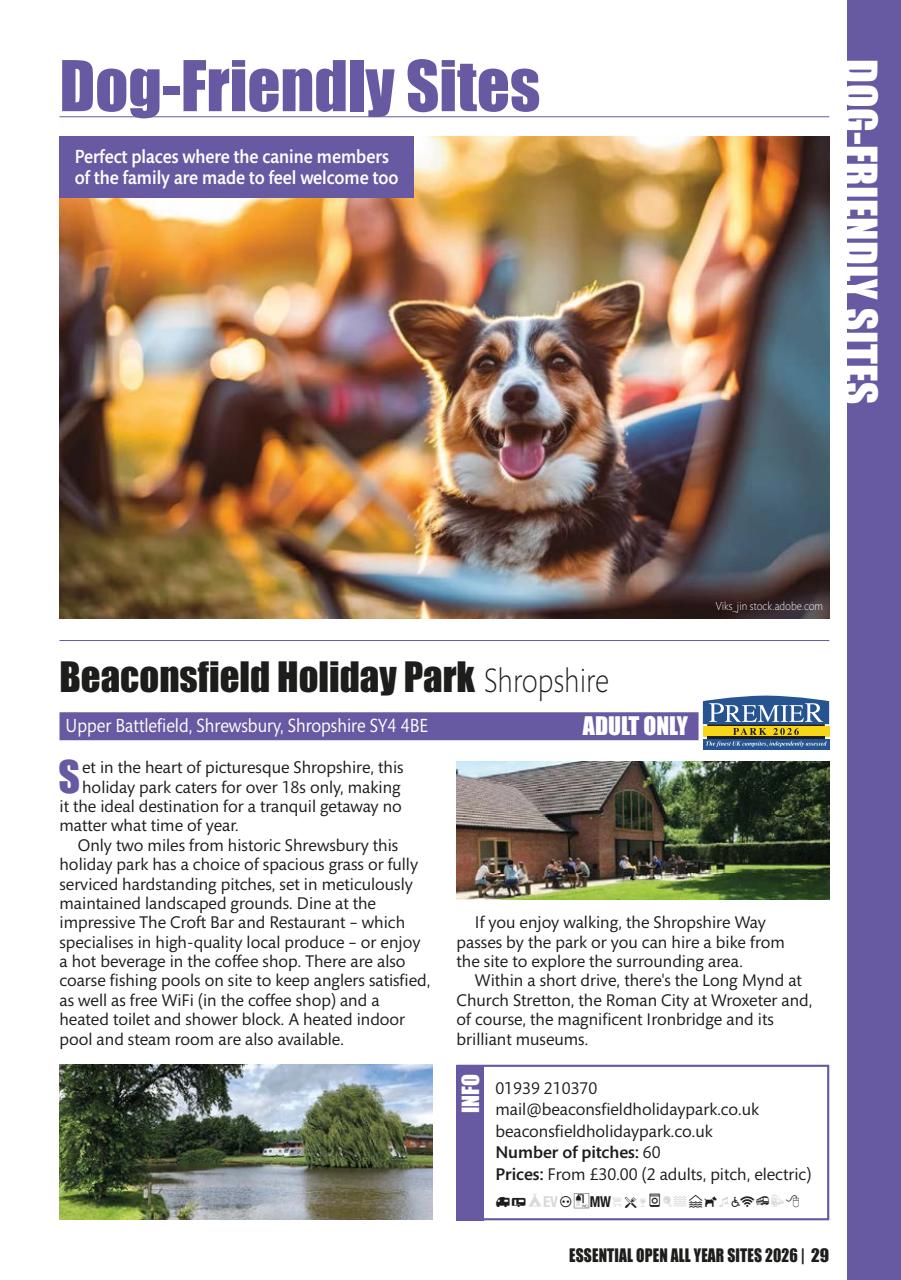 Camping Preview Pages