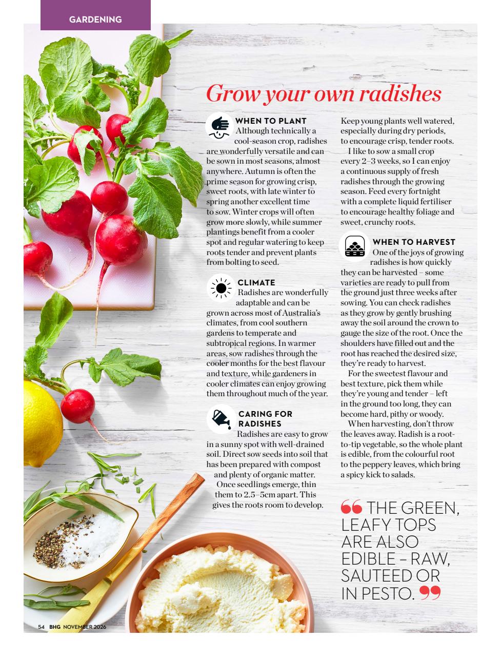 Better Homes and Gardens (Aus) Preview Pages