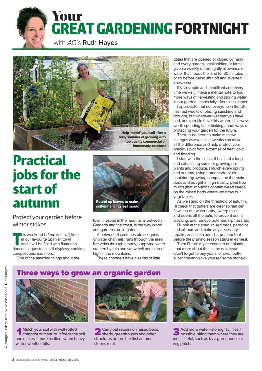Amateur Gardening Preview Pages