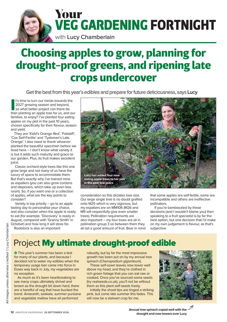 Amateur Gardening Preview Pages