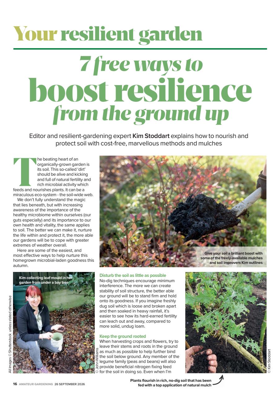 Amateur Gardening Preview Pages