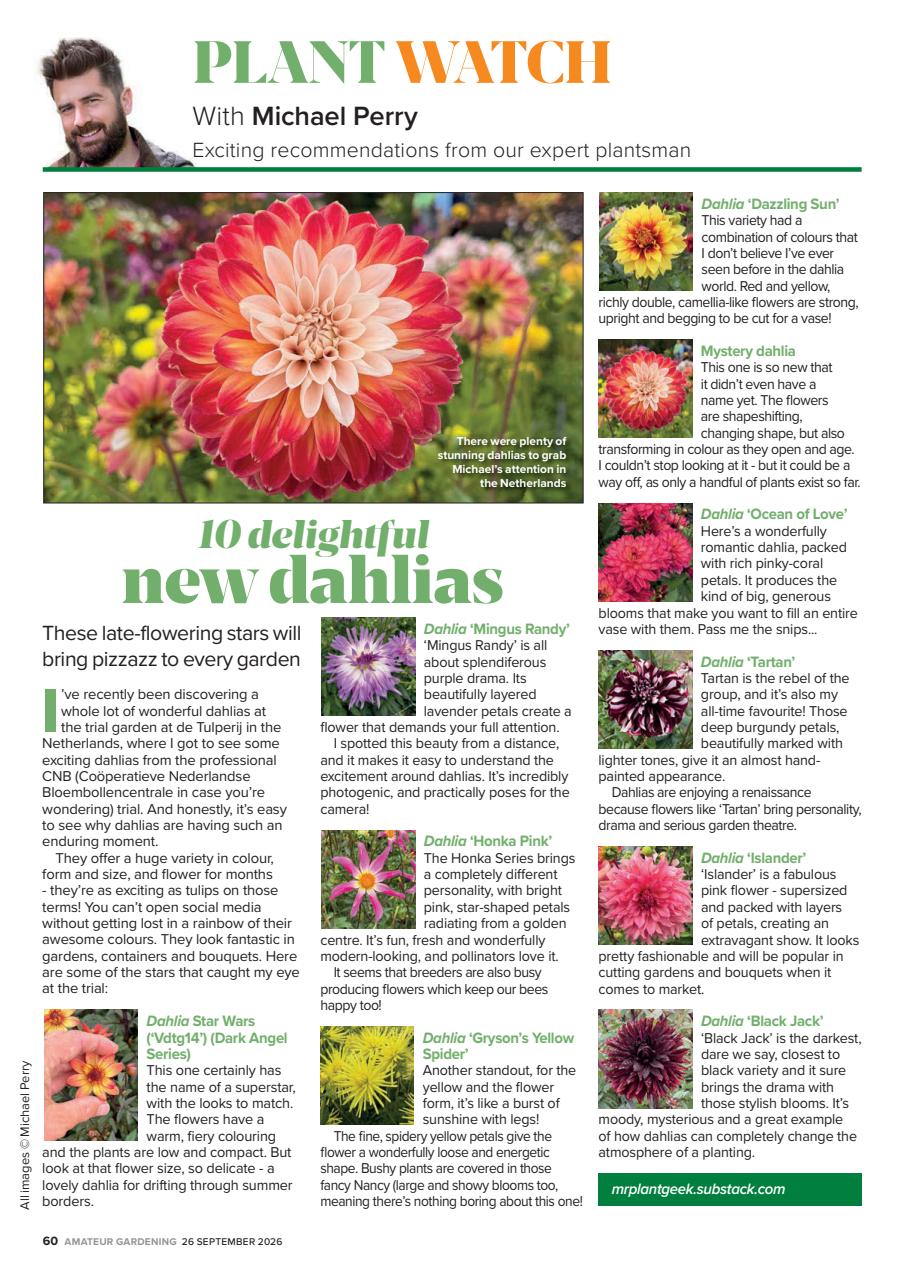 Amateur Gardening Preview Pages