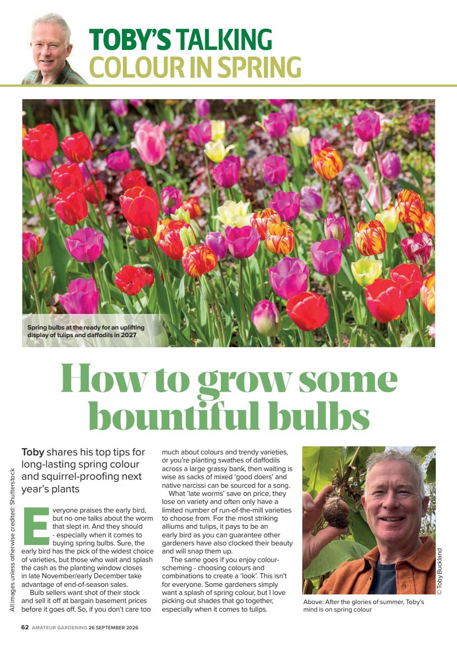 Amateur Gardening Preview Pages