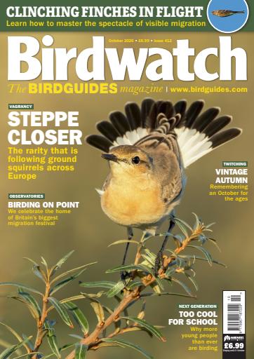 Birdwatch Magazine issue 