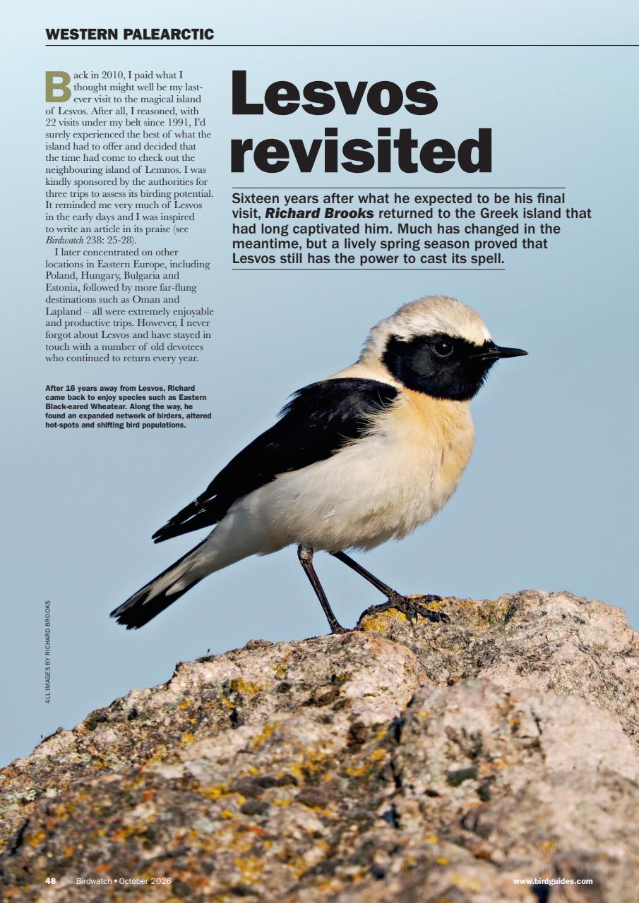 Birdwatch Magazine Preview Pages