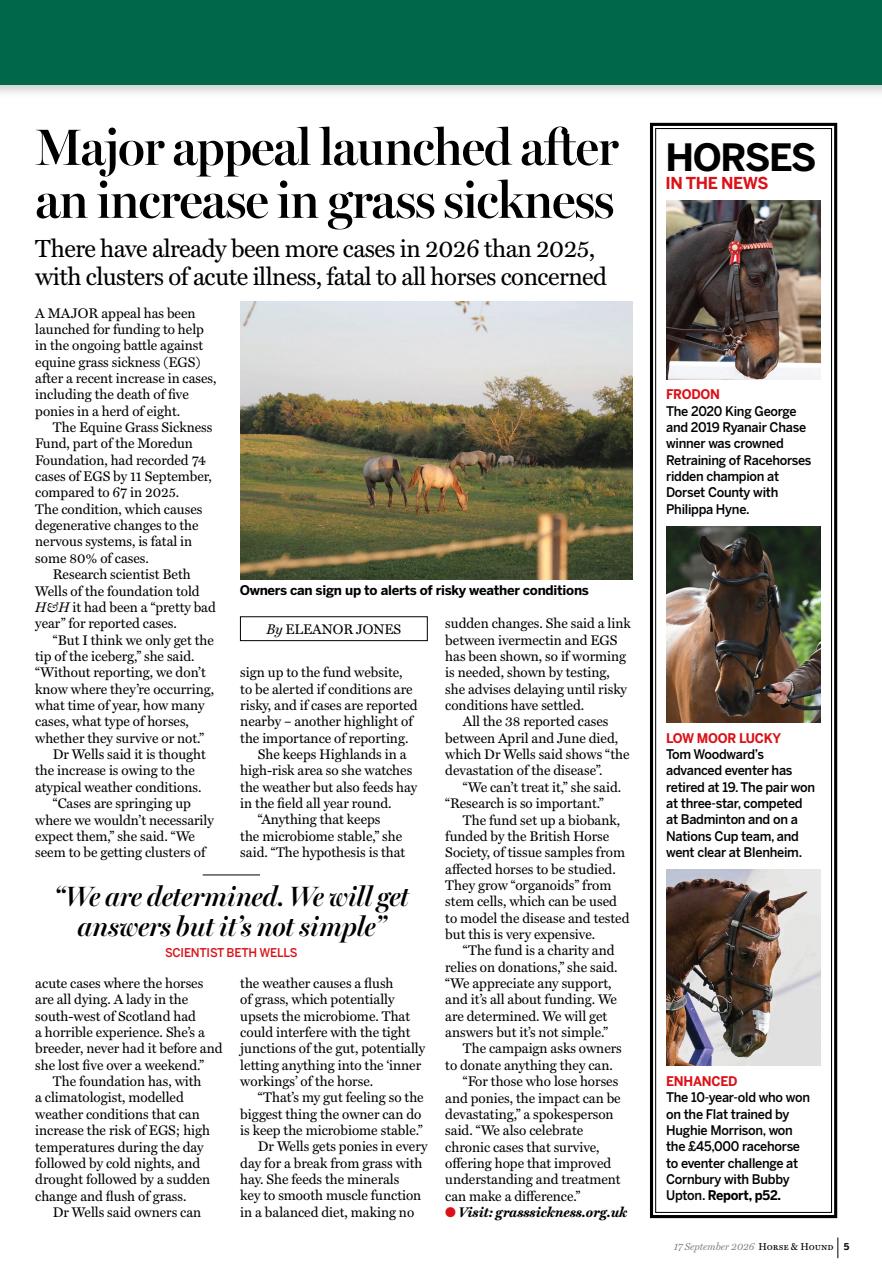 Horse & Hound Preview Pages