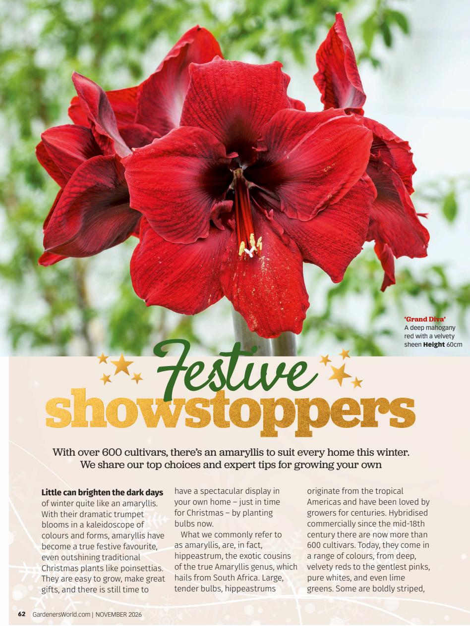 BBC Gardeners’ World Magazine Preview Pages