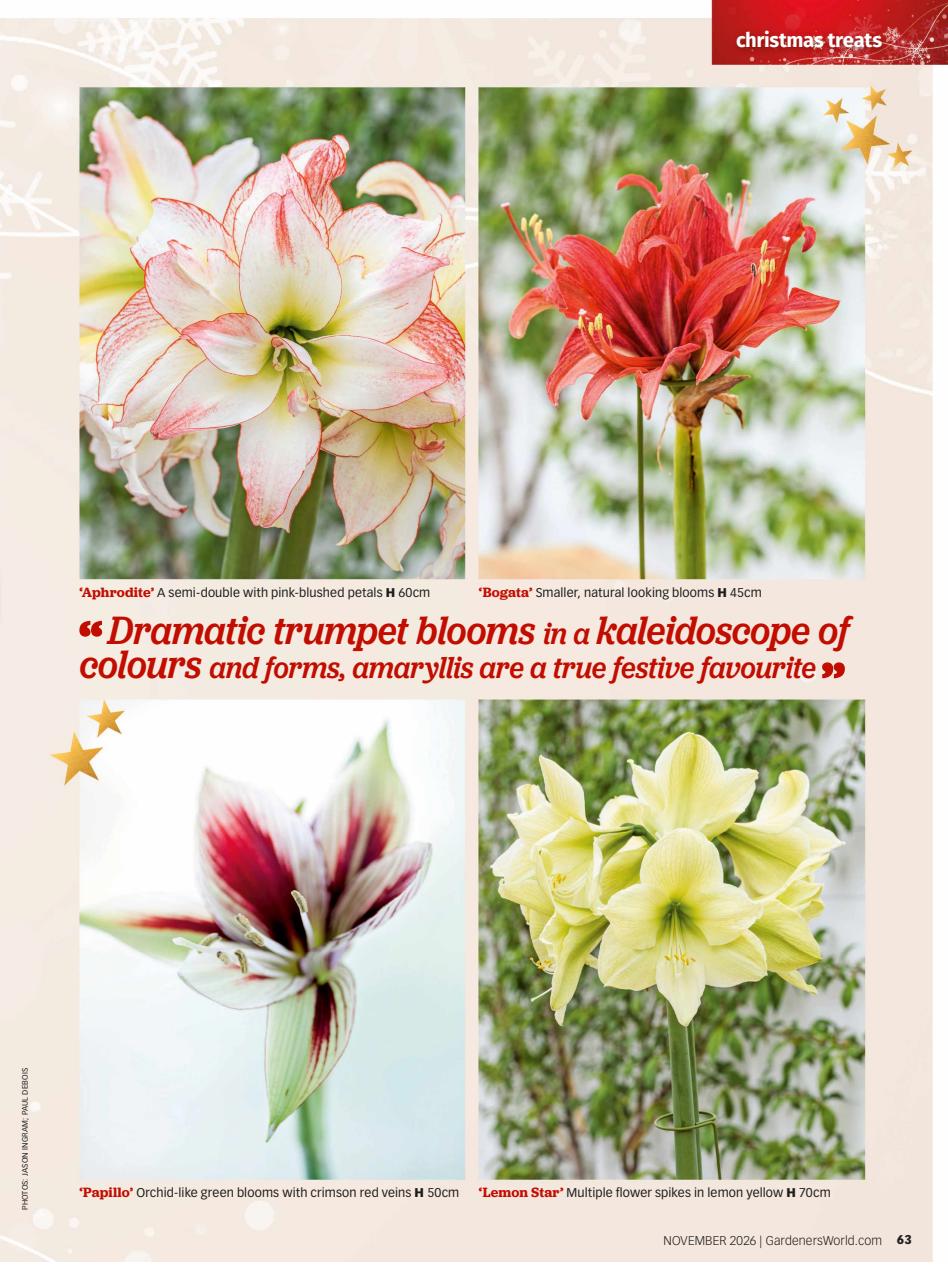BBC Gardeners’ World Magazine Preview Pages